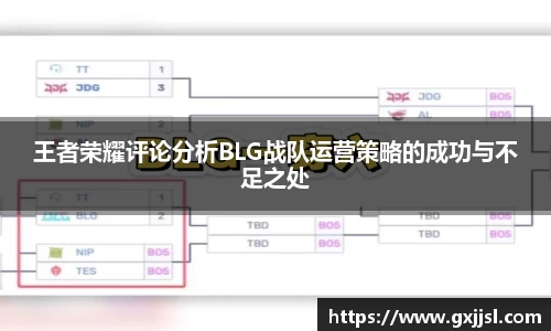 王者荣耀评论分析BLG战队运营策略的成功与不足之处