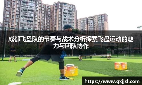 成都飞盘队的节奏与战术分析探索飞盘运动的魅力与团队协作