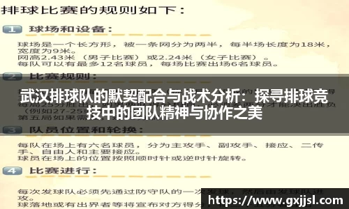 武汉排球队的默契配合与战术分析:探寻排球竞技中的团队精神与协作之美