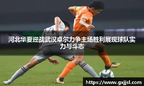 河北华夏迎战武汉卓尔力争主场胜利展现球队实力与斗志